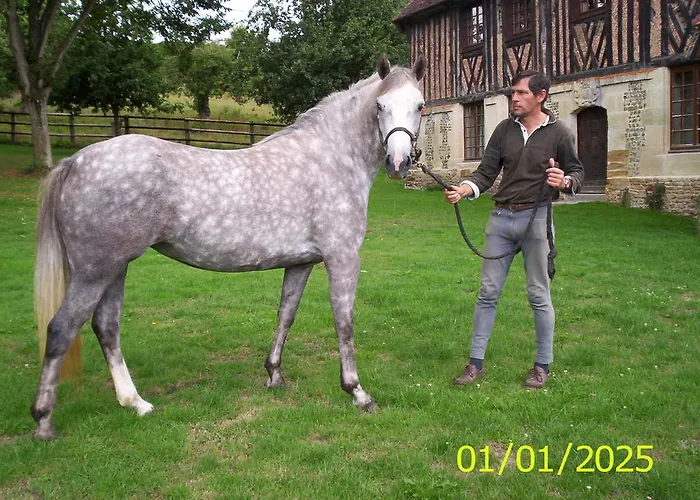 Bed & Breakfast Manoir Du Val Harangt 3*